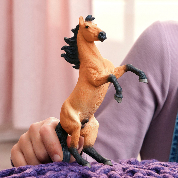 Semental Mustang