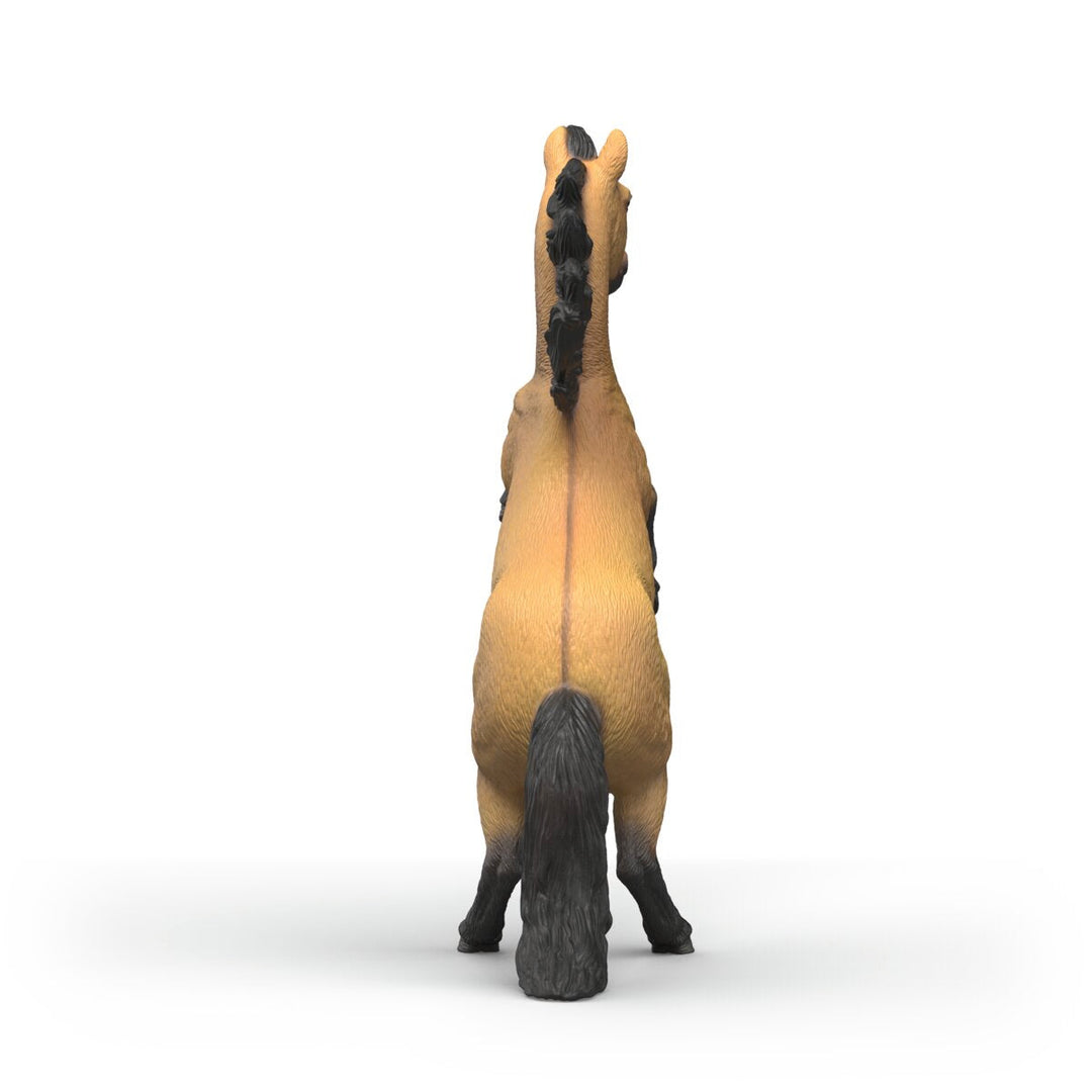 Semental Mustang