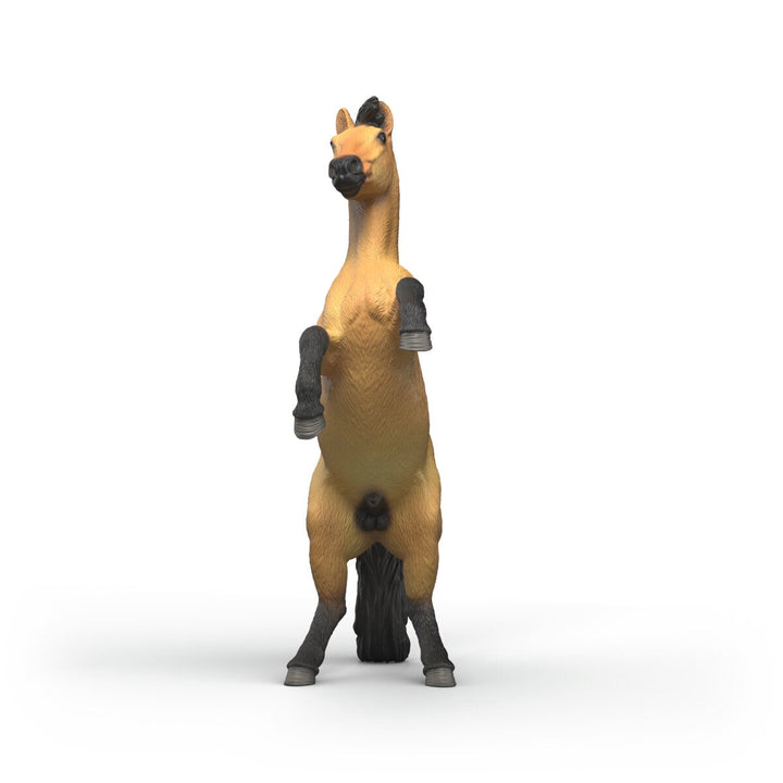Semental Mustang