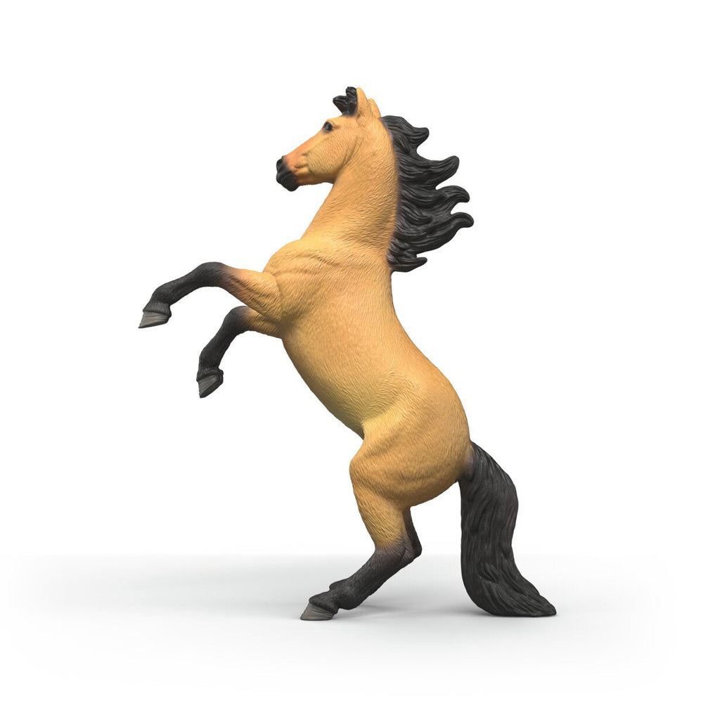 Semental Mustang