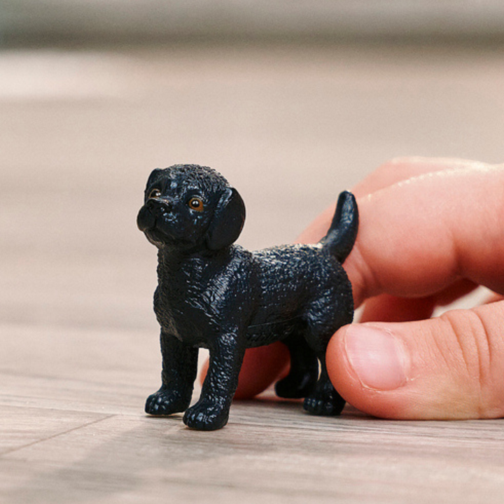 Cachorro Labrador Retriever negro