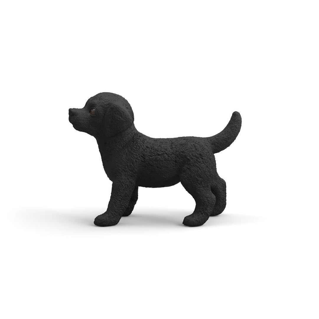 Cachorro Labrador Retriever negro