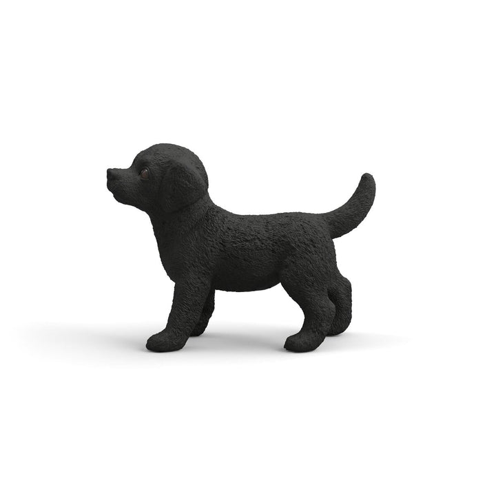 Cachorro Labrador Retriever negro