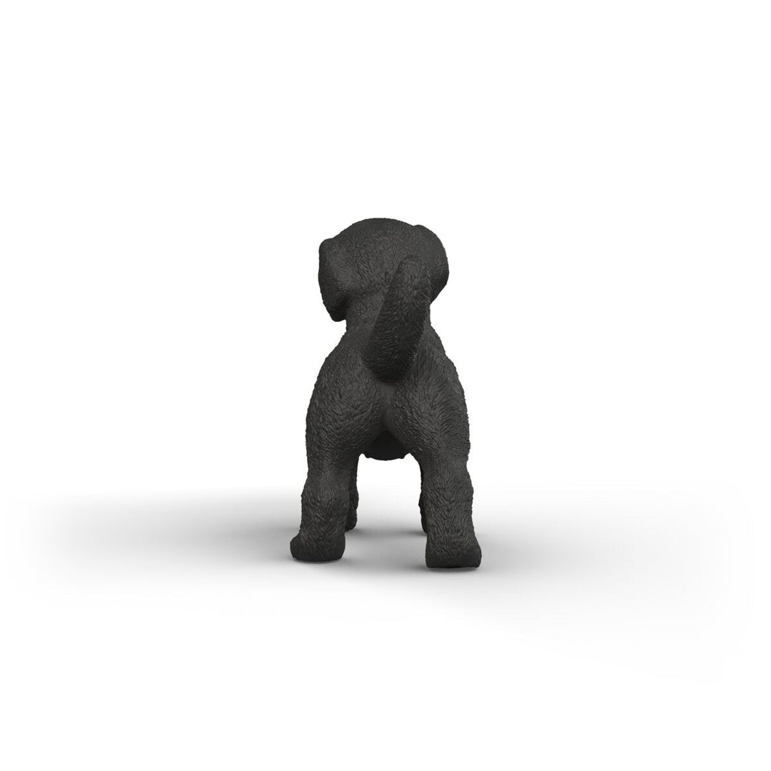 Cachorro Labrador Retriever negro