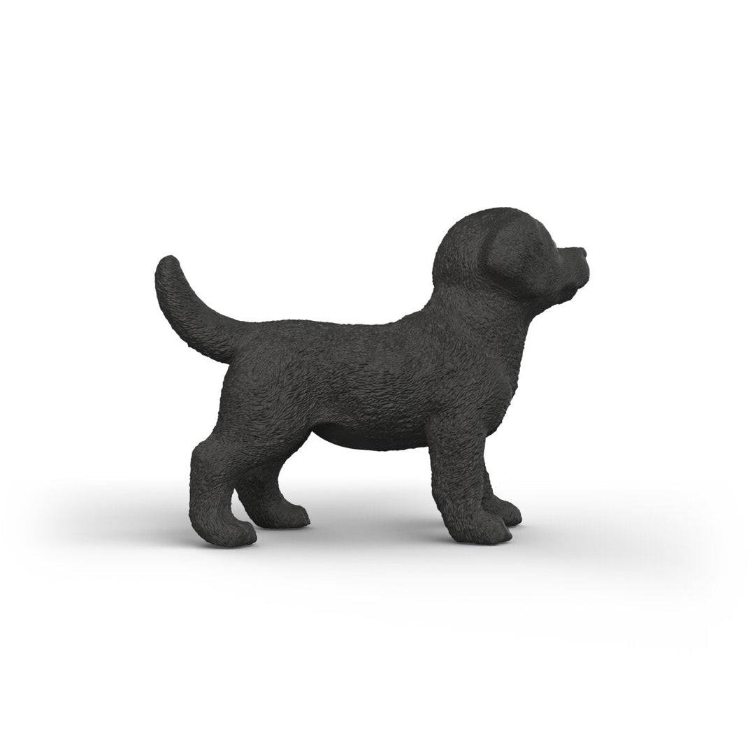 Cachorro Labrador Retriever negro