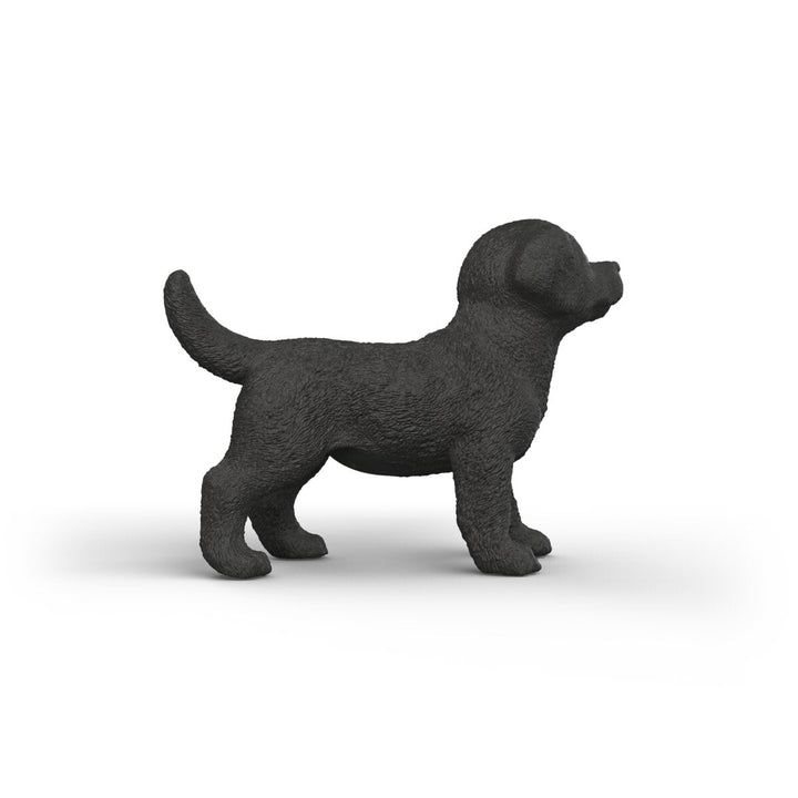 Cachorro Labrador Retriever negro