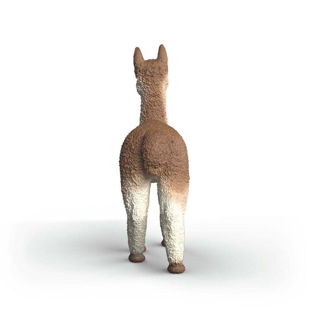 Alpaca