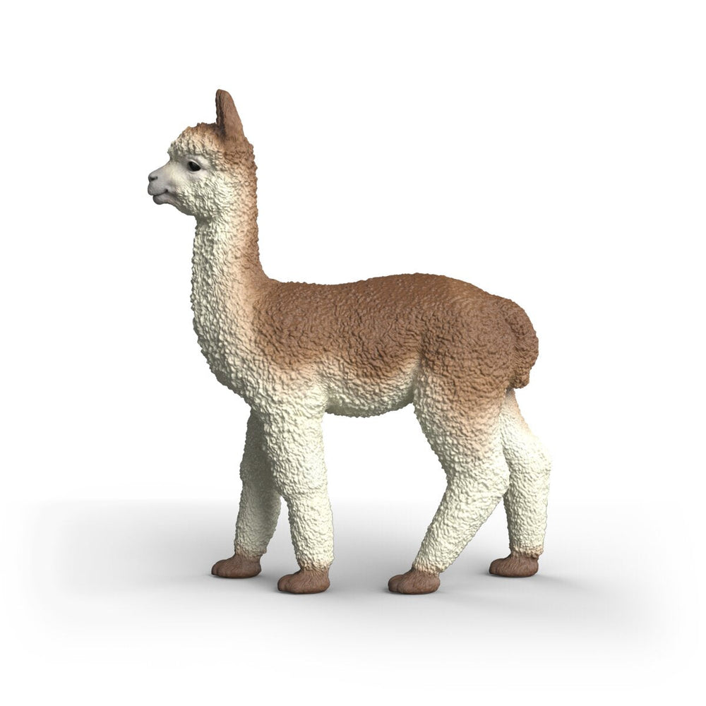 Alpaca