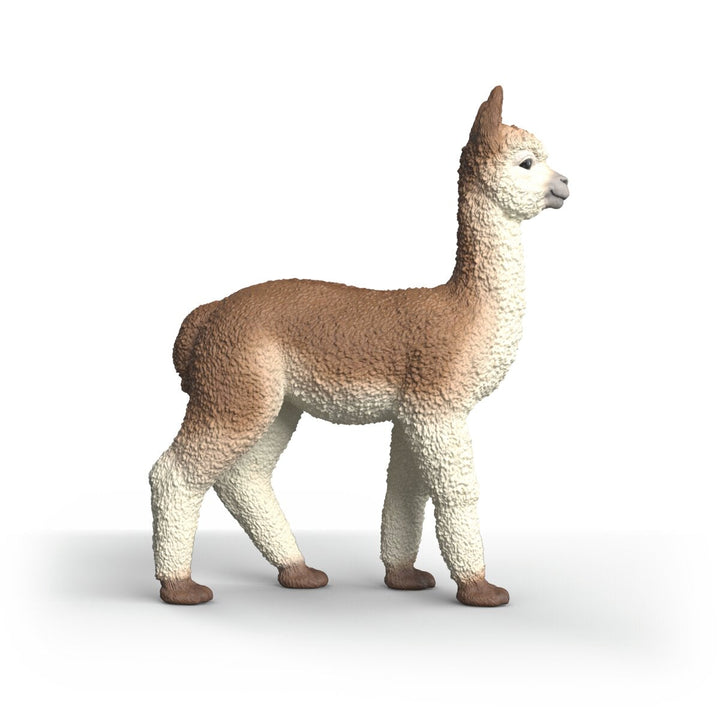 Alpaca