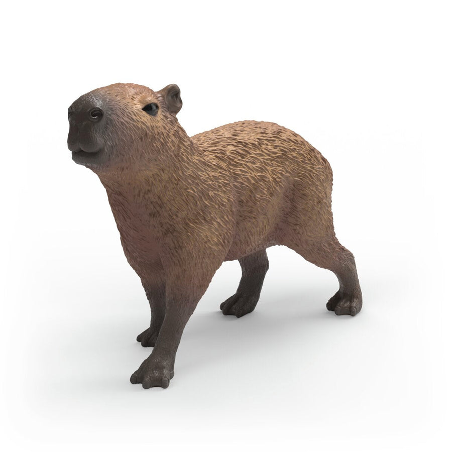 Capibara