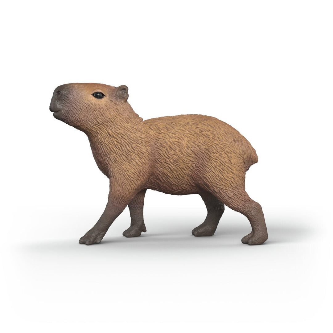 Capibara