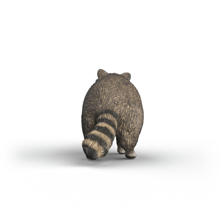 Mapache