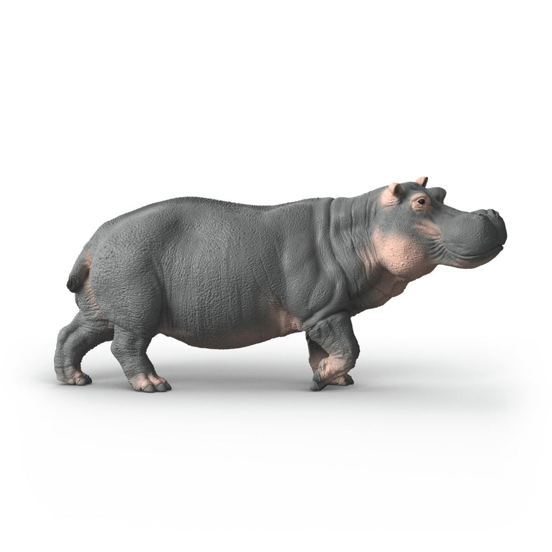 Hipopótamo