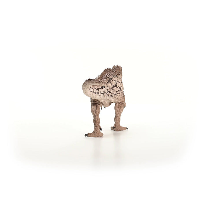 Carcharodontosaurus