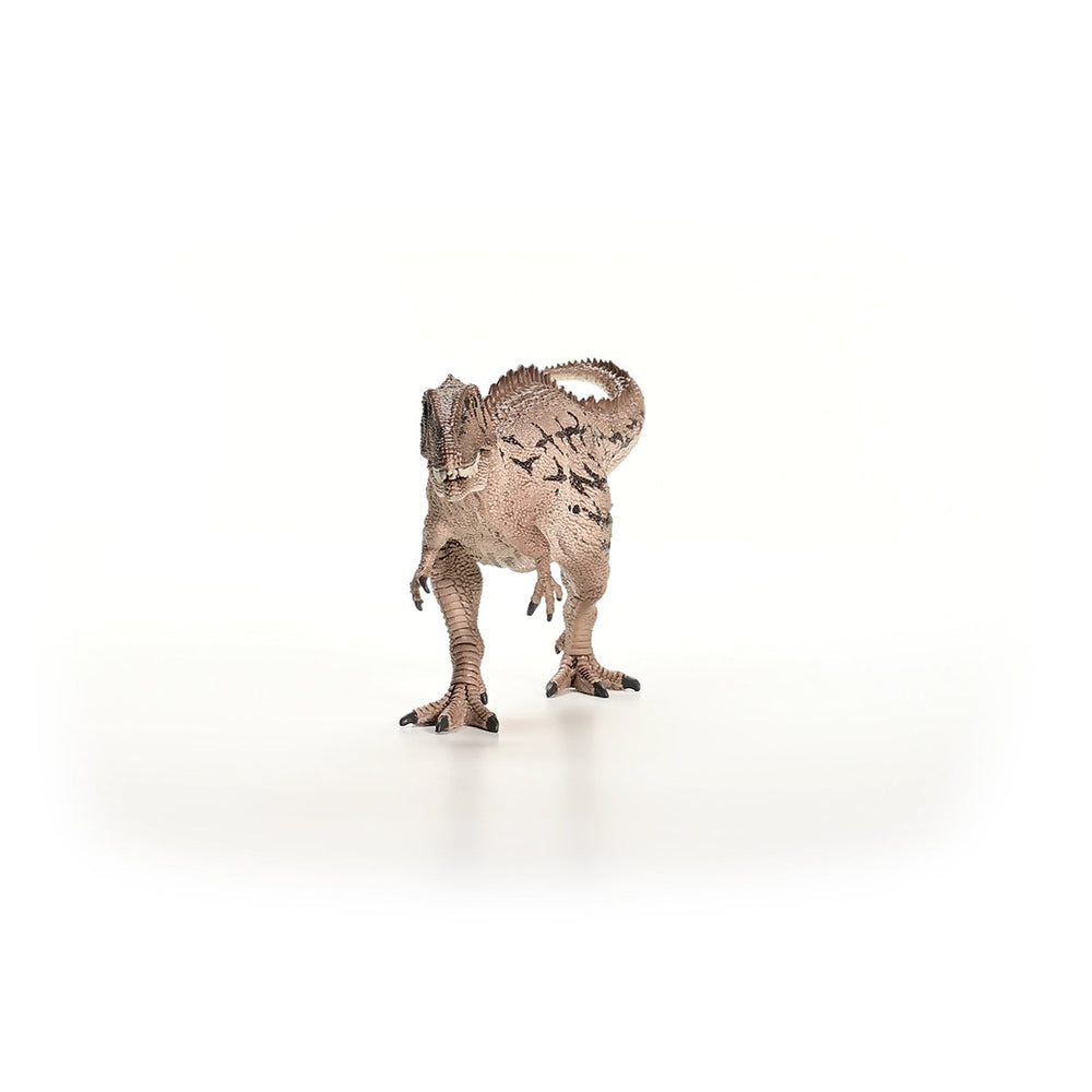 Carcharodontosaurus