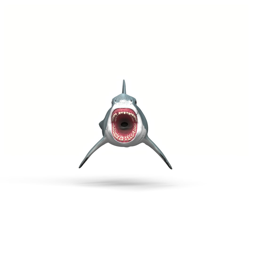 Megalodon