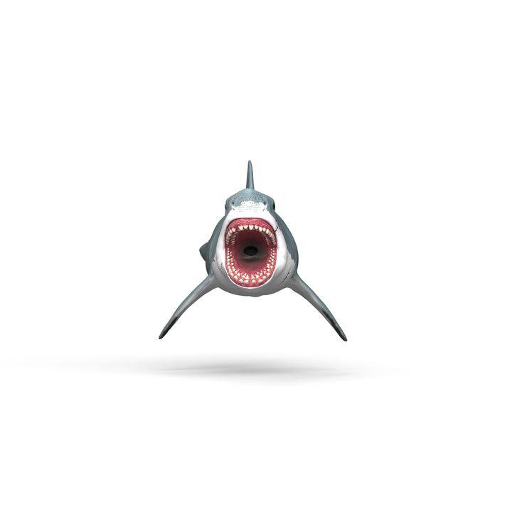 Megalodon