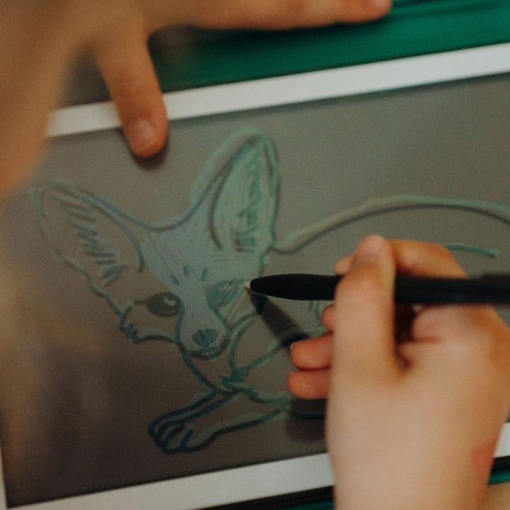 Plantillas Kidydraw mini Animals around the world / Oceans & Pirates