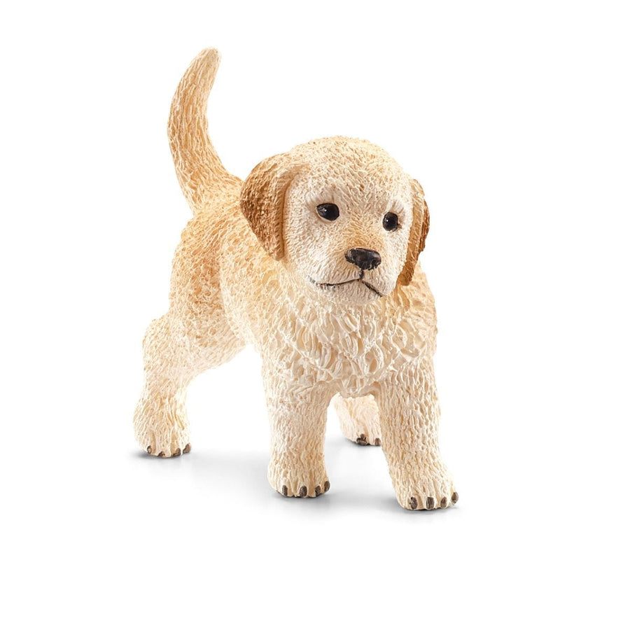 Cachorro Golden Retriever