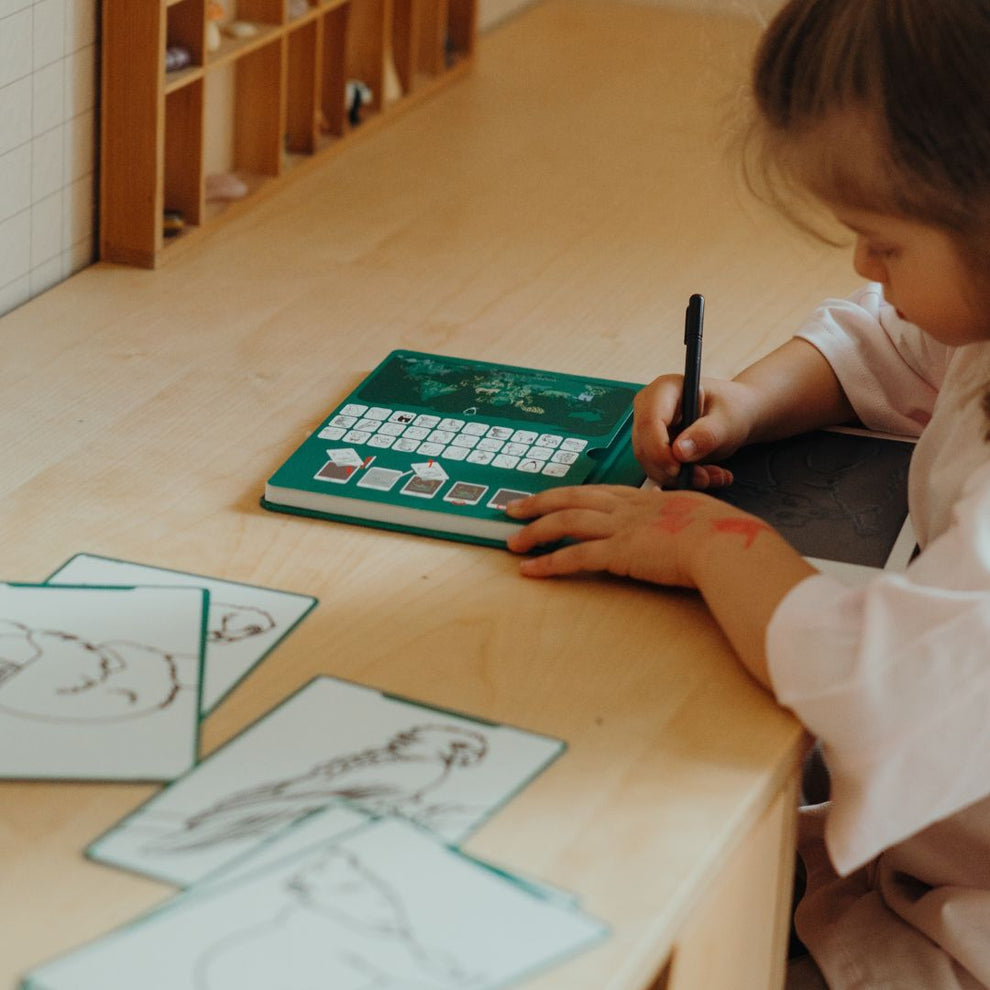 Plantillas Kidydraw mini Animals around the world / Oceans & Pirates