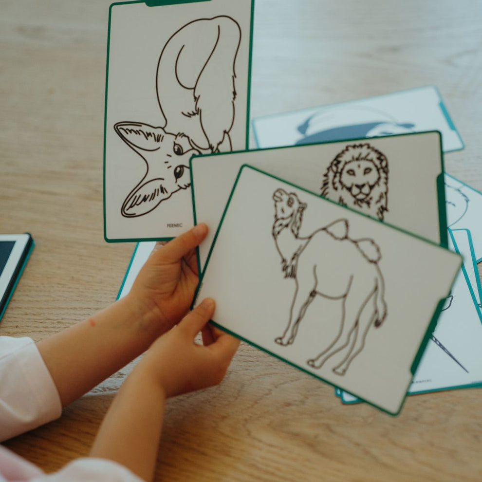 Kidydraw mini Animales del mundo