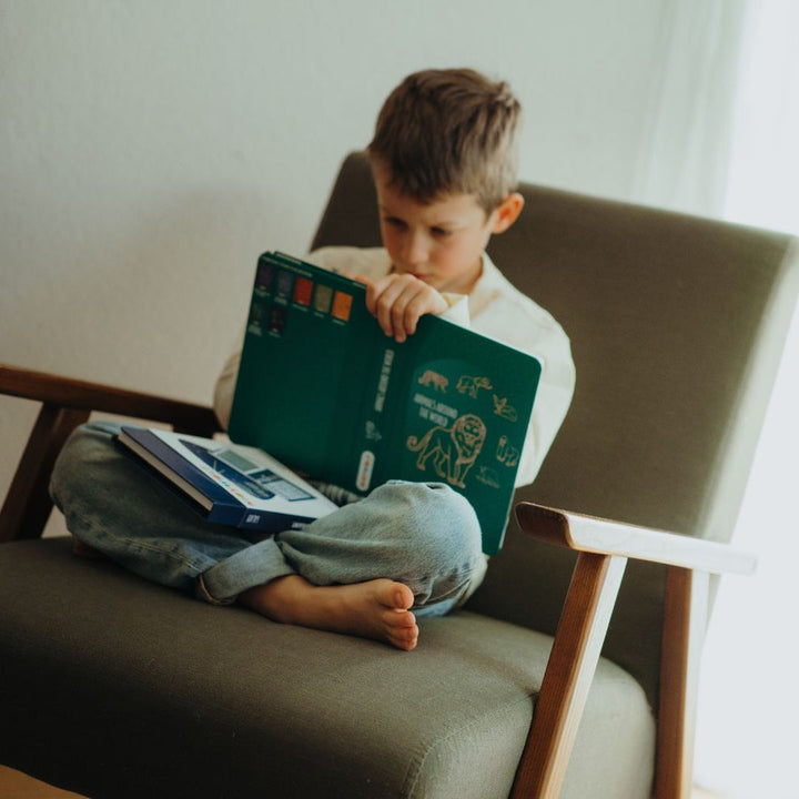 Plantillas Kidydraw mini Animals around the world / Oceans & Pirates