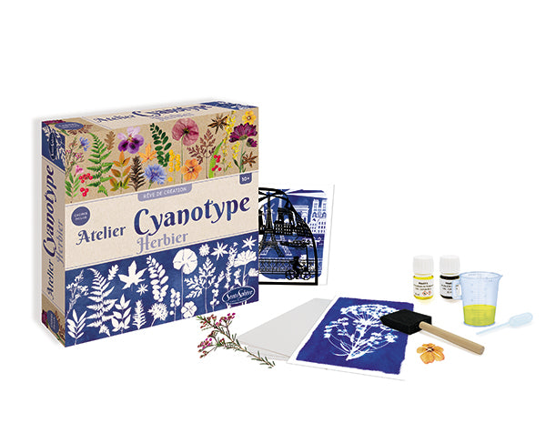 Taller de cianotipia con plantas