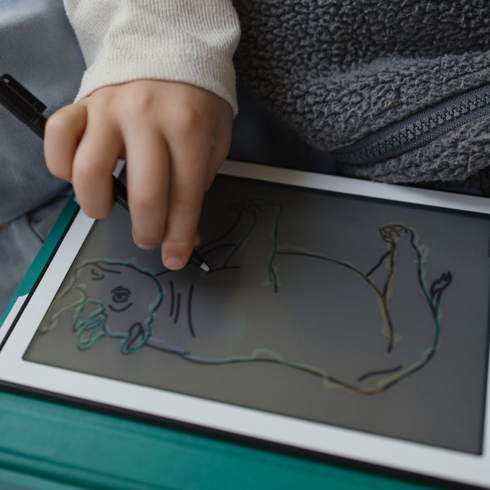 Kidydraw mini Animales del mundo