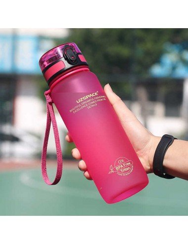 Botella 1 Litro Rosa