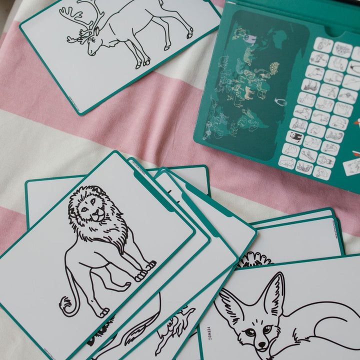 Kidydraw mini Animales del mundo