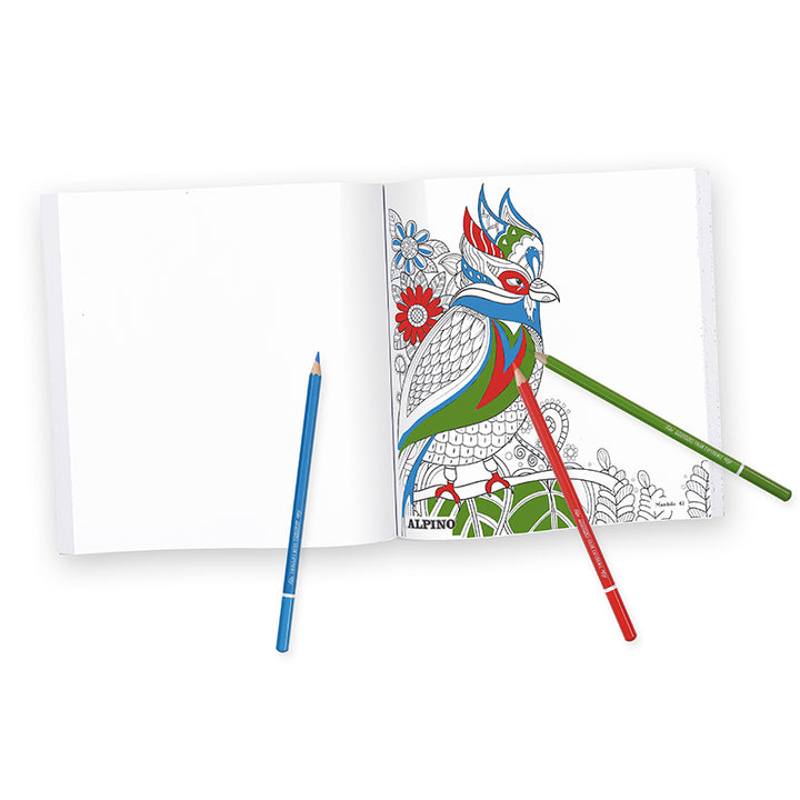 Mandalas Color Experience Set