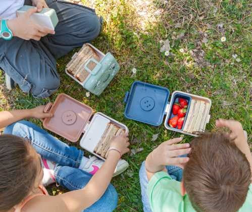 Caja Snacky Monbento Fox