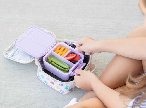Lunch Box B2 Lila 2c
