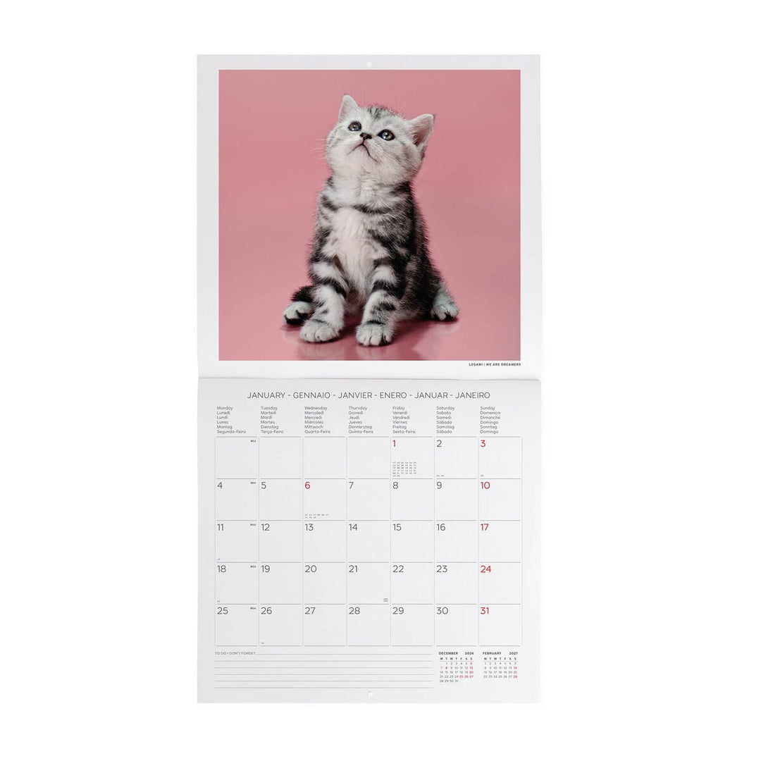 Calendario de Pared 2027 - 30 x 29 cm - Kittens
