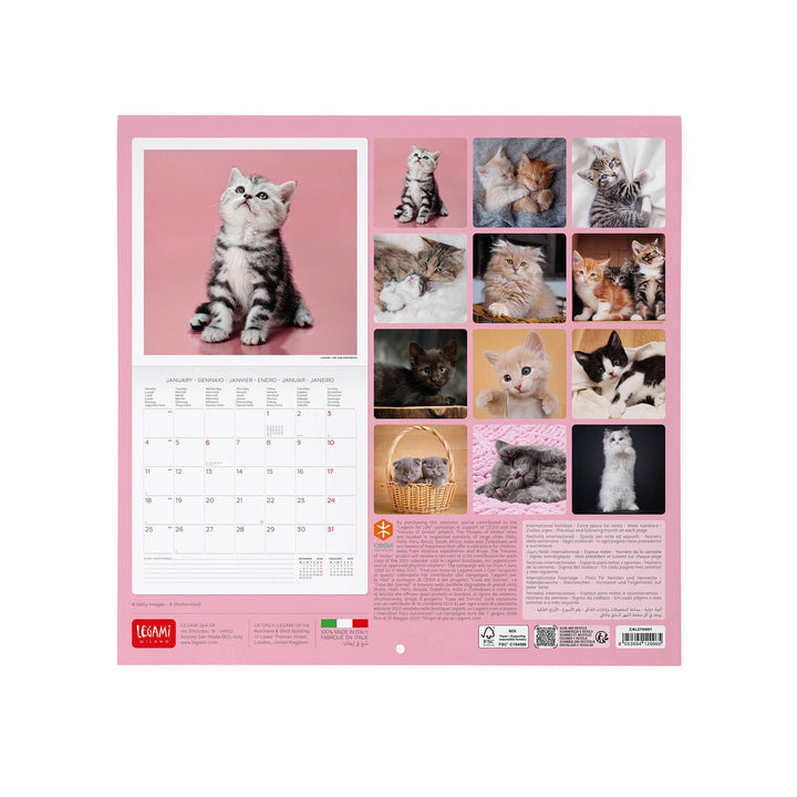 Calendario de Pared 2027 - 30 x 29 cm - Kittens