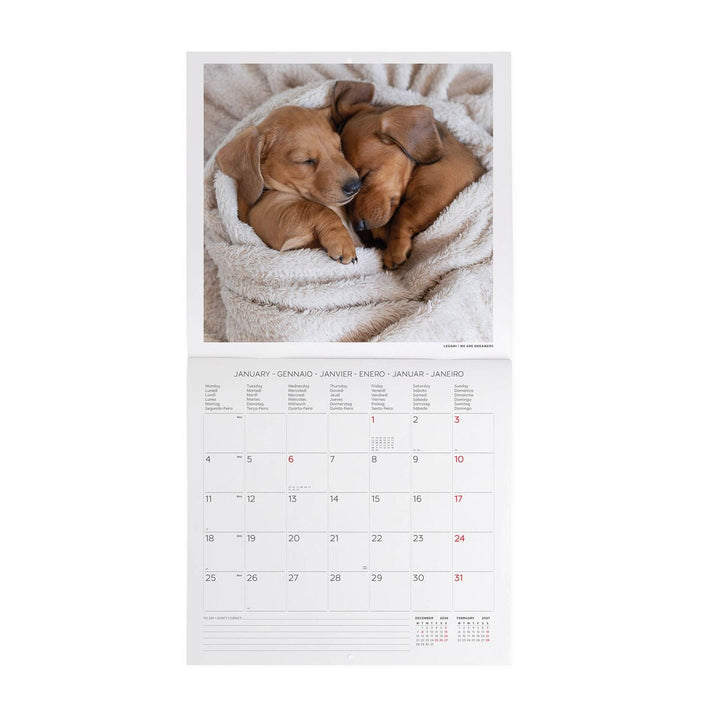 Calendario de Pared 2027 - 30 x 29 cm - Puppies
