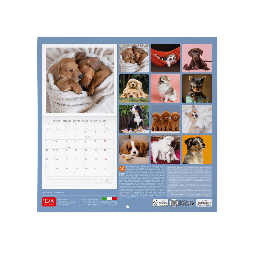 Calendario de Pared 2027 - 30 x 29 cm - Puppies