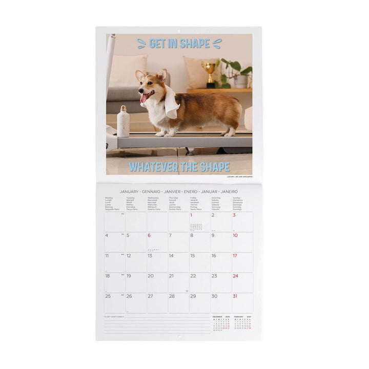 Calendario de Pared 2027 - 30 x 29 cm - Supawstar