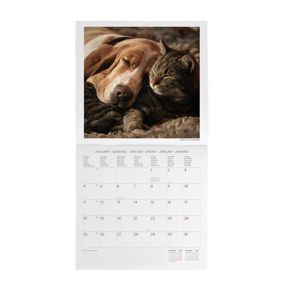 Calendario de Pared 2027 - 30 x 29 cm - Best Friends