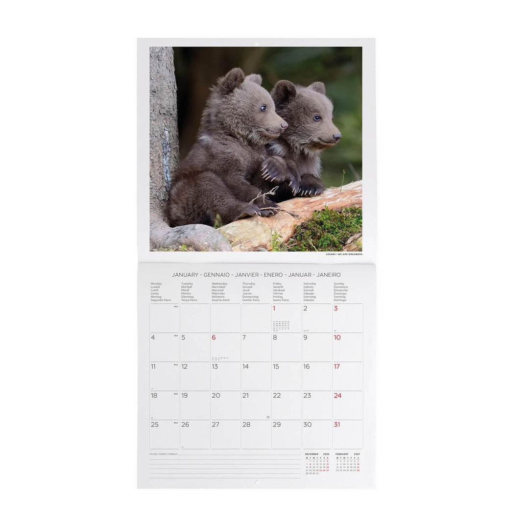 Calendario de Pared 2027 - 30 x 29 cm - Baby Animals