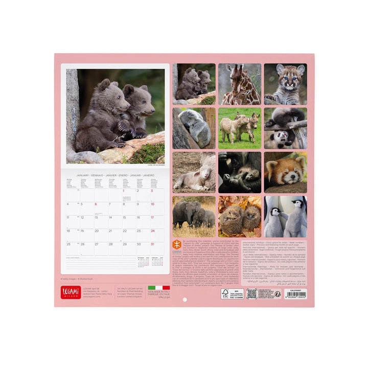 Calendario de Pared 2027 - 30 x 29 cm - Baby Animals