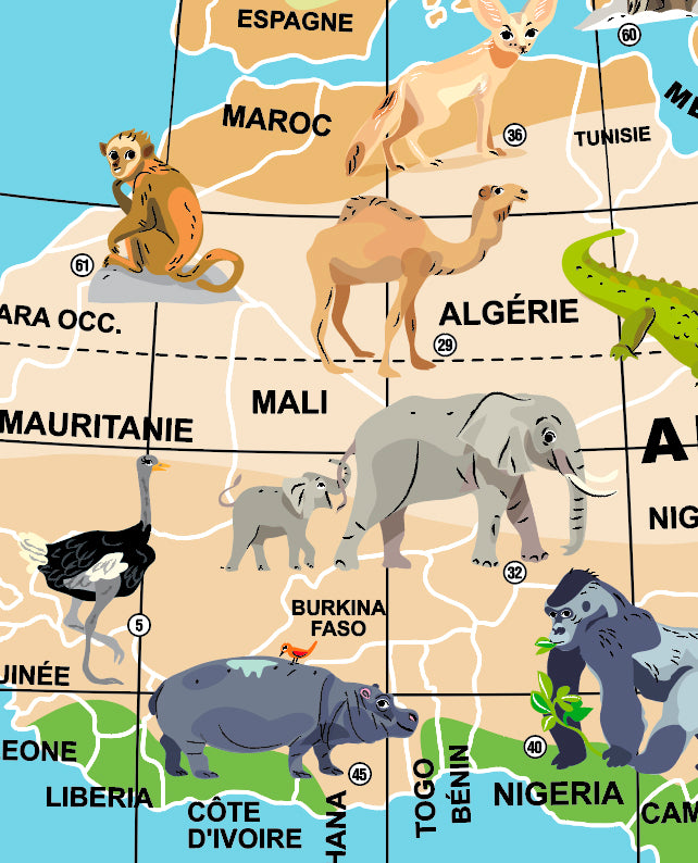 Stick'n quiz : misión animales