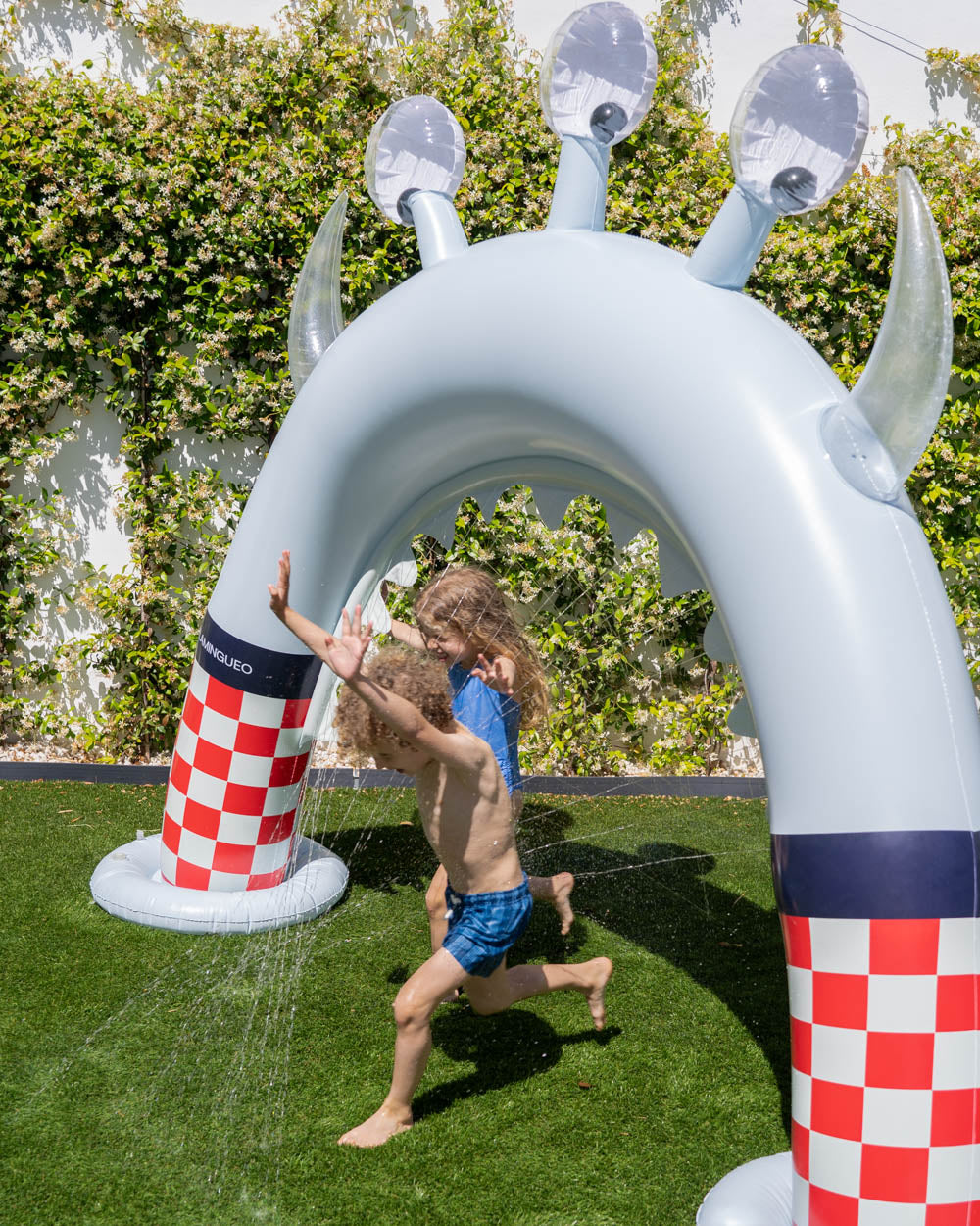 Flotador aspersor - HECTOR - Space Age