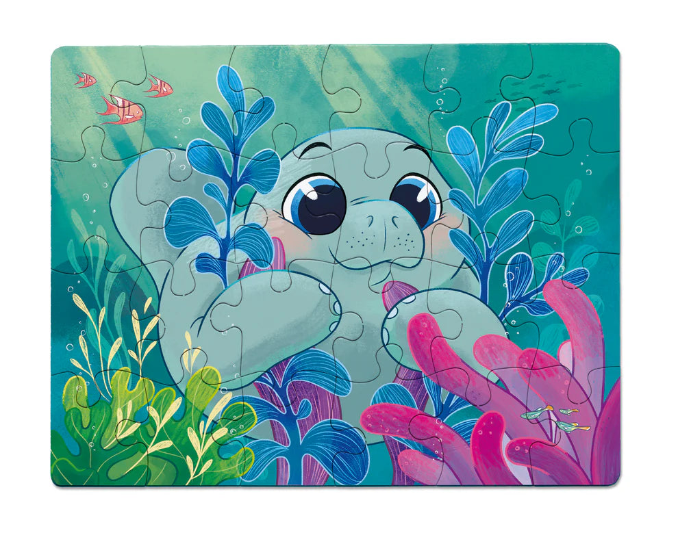 Puzzle Iti
