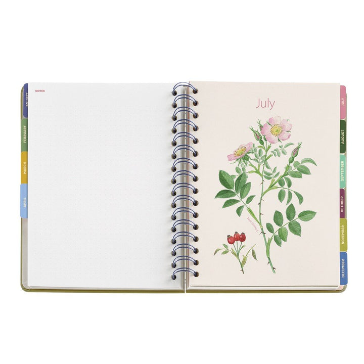 Agenda plus w-o D/P jardin entredos 26