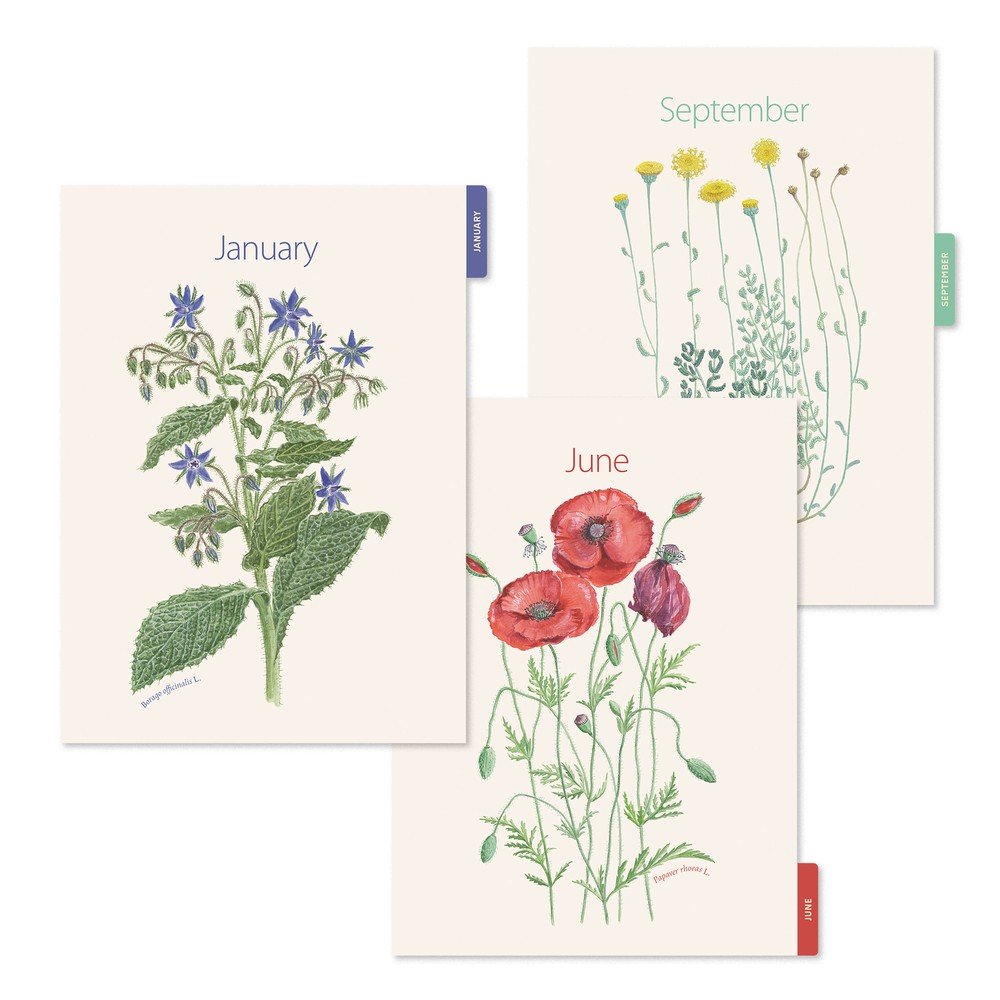 Agenda plus w-o D/P jardin entredos 26