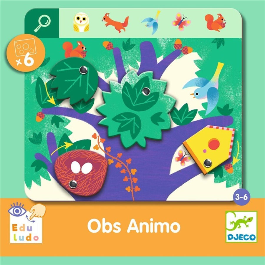 Eduludo Obs Animo