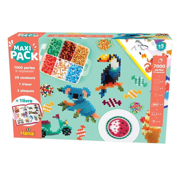 Hama Maxi Pack