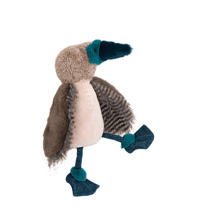Pájaro loco de patas azules "Tout autour du monde"