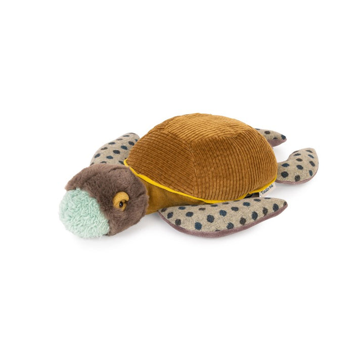 Tortuga pequeña "Tout autour du monde"